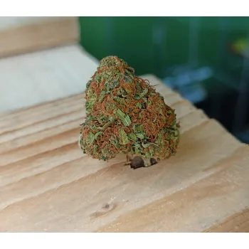 CBD CBD konopí - AK-47 - Weedshop Váha: 5 g