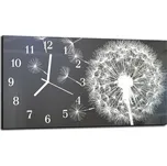 Glasdekor Nástěnné hodiny 30x60cm abstrakt odkvetlá pampeliška Materiál: kalené sklo