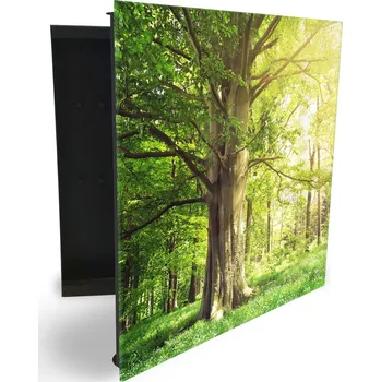 Skříňka na klíč Glasdekor skříňka na klíče - mýtina se starým bukem Otevírání: Pravé, Barva skříňky: Bílá