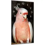 Glasdekor Nástěnné hodiny 30x60cm papoušek kakadu inka Materiál: plexi