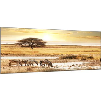 Obraz Glasdekor Obraz skleněný Safari a zebry Rozměry-obdélník V/Š: 30 x 60 cm