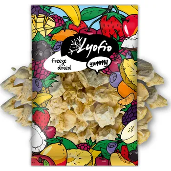 Sušené ovoce Lyofio.cz - Mrazem sušený ananas plátky 100 g