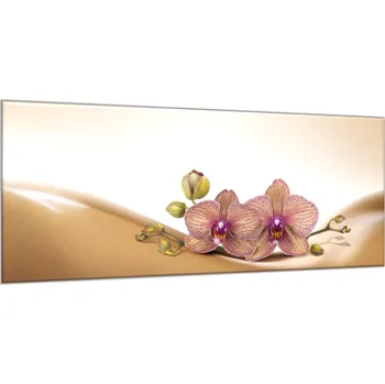 Obraz Glasdekor Obraz skleněný orchidej na hnědé vlně Rozměry-obdélník V/Š: 30 x 60 cm
