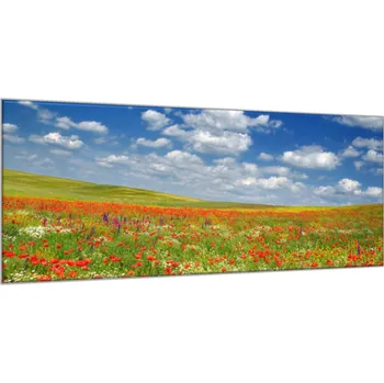 Obraz Glasdekor Obraz skleněný louka vlčích máků pod nebem Rozměry-obdélník V/Š: 30 x 40 cm