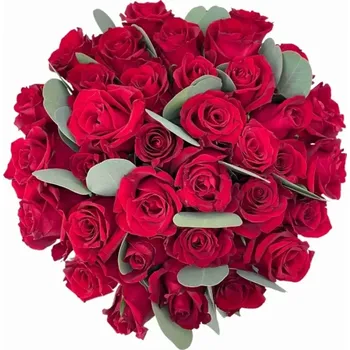 umělá květina Kytice 35 červených růží EVER RED 70 cm