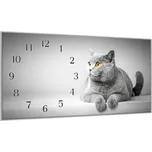 Glasdekor Nástěnné hodiny 30x60cm šedá Britská kočka Materiál: plexi