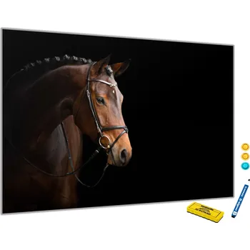 Glasdekor Metalová magnetická tabule - hnědý kůň na černém Rozměr V/Š: 40x60cm