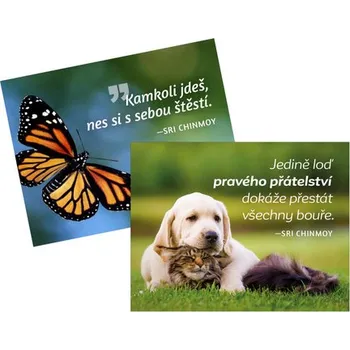 Dekorativní magnet magnety na lednici Kamkoli jdeš + Jedině loď