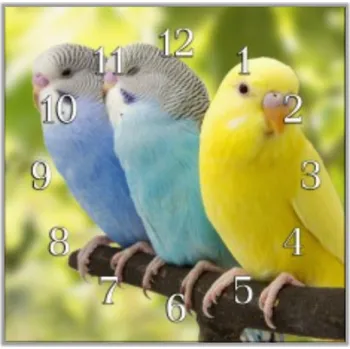 Hodiny Glasdekor Nástěnné hodiny 30x30cm papoušek andulka Materiál: plexi