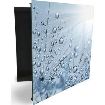 Skříňka na klíč Glasdekor skříňka na klíče - orosený květ pampelišky Otevírání: Levé, Barva skříňky: Bílá