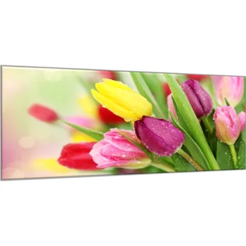 Obraz Glasdekor Obraz skleněný krásné květy barevné tulipány Rozměry-obdélník V/Š: 34 x 72 cm