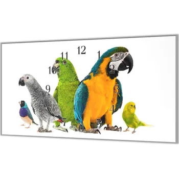 Hodiny Glasdekor Nástěnné hodiny s motivem směs papoušků Materiál: plexi