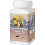 TCM Herbs 900 NÁPOJ ČÍNSKÝCH MUDRCŮ (100 g)