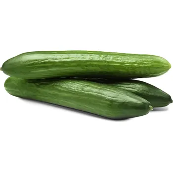 Okurky hadovky, sáček 1.5kg