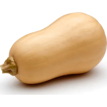 Dýně máslová cca 1kg