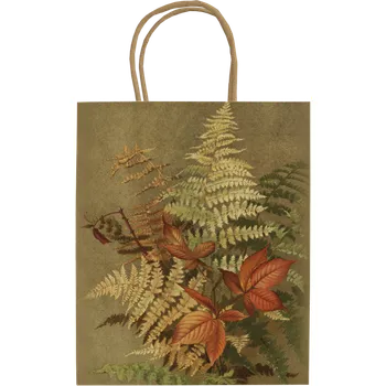Dárková taška Dárková papírová taška Ferns