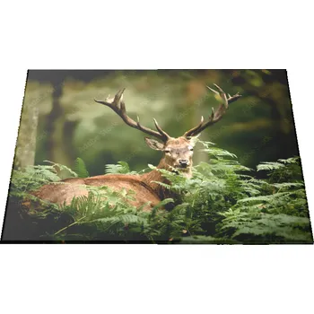 Kuchyňské prkénko Glasdekor Skleněné prkénko jelen v kapradí Prkénko: 30x20cm