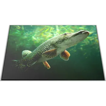 Kuchyňské prkénko Glasdekor Skleněné prkénko ryba štika Prkénko: 30x20cm