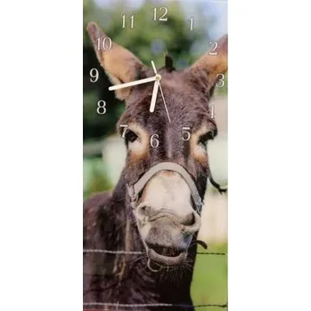 Hodiny Glasdekor Nástěnné hodiny osel 30x60cm Materiál: plexi