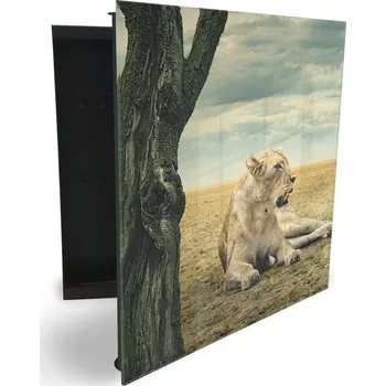 Skříňka na klíč Glasdekor skříňka na klíče - lvice Otevírání: Levé, Barva skříňky: Bílá