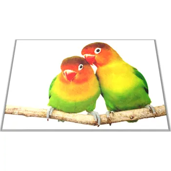 Kuchyňské prkénko Glasdekor Skleněné prkénko papoušek agapornis para Prkénko: 30x20cm