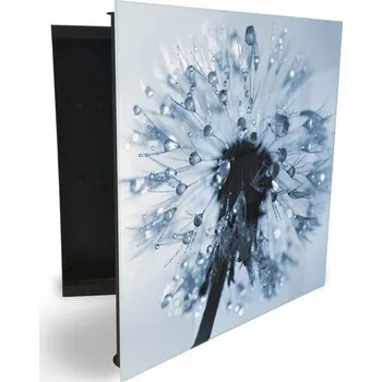 Skříňka na klíč Glasdekor skříňka na klíče - pampeliška s kapkami rosy Otevírání: Levé, Barva skříňky: Bílá