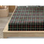 Prostěradlo mikroplyš GLENMOORE 200x200 cm zelené 233592450