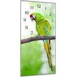 Glasdekor Nástěnné hodiny 30x60cm papoušek ara zelený Materiál: plexi