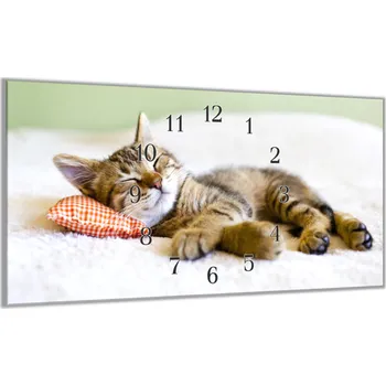 Hodiny Glasdekor Nástěnné hodiny 30x60cm spící kotě Materiál: plexi