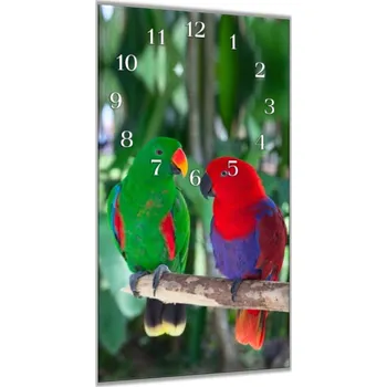 Hodiny Glasdekor Nástěnné hodiny 30x60cm papoušek eklektus para Materiál: plexi