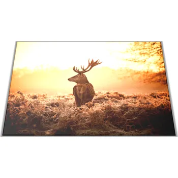 Kuchyňské prkénko Glasdekor Skleněné prkénko jelen v září slunce Prkénko: 30x20cm