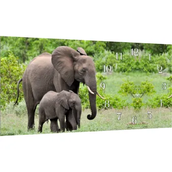 Hodiny Glasdekor Nástěnné hodiny 30x60cm slonice a slůně Materiál: plexi