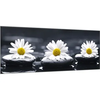 Obraz Glasdekor Obraz skleněný bílé kopretiny na černém kameni Rozměry-obdélník V/Š: 30 x 40 cm