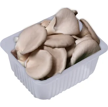 Zelenina České houby Hlíva ústřičná, vanička 300g