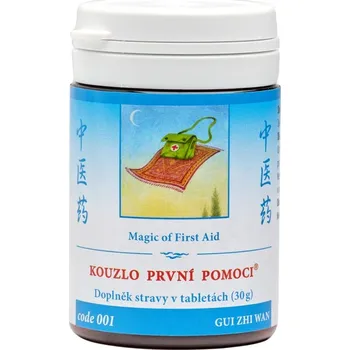 Přírodní produkt TCM Herbs 001 Kouzlo první pomoci - GUI ZHI WAN (30g)