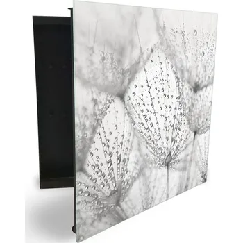 Skříňka na klíč Glasdekor skříňka na klíče - odkvetlá pampeliška s rosou Otevírání: Pravé, Barva skříňky: Černá