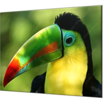 Příslušenství pro sporák Glasdekor Ochranné sklo za varnou desku papoušek tukan Rozměr V/Š: 40x40 cm, Lepení na zeď: Bez lepení na zeď