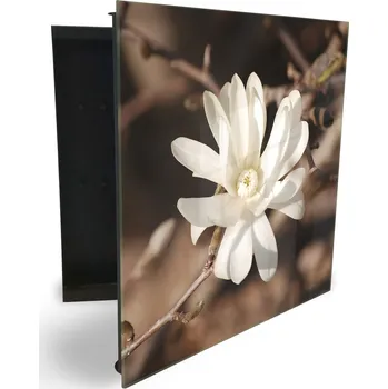 Skříňka na klíč Glasdekor skříňka na klíče - květ bílé magnolie na hnědém pozadí Otevírání: Levé, Barva skříňky: Bílá