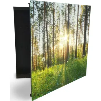 Skříňka na klíč Glasdekor skříňka na klíče - jarní mýtina a les se sluncem Otevírání: Pravé, Barva skříňky: Bílá