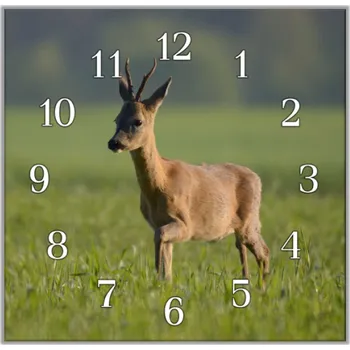 Hodiny Glasdekor Nástěnné hodiny 30x30cm srnec v trávě Materiál: plexi