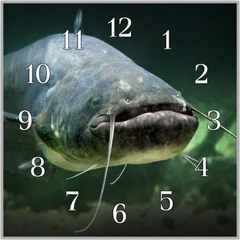 Hodiny Glasdekor Nástěnné hodiny 30x30cm dravá ryba sumec sklo