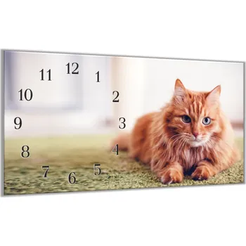Hodiny Glasdekor Nástěnné hodiny 30x60cm zrzavá chlupatá kočka Materiál: plexi