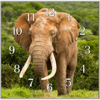 Hodiny Glasdekor Nástěnné hodiny 30x30cm slon Africký Sklo