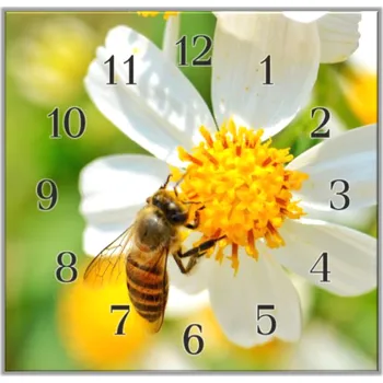 Hodiny Glasdekor Nástěnné hodiny 30x30cm včela na bílém květu Materiál: plexi