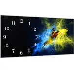 Glasdekor Nástěnné hodiny 30x60cm papoušek Ara Ararauna Materiál: plexi