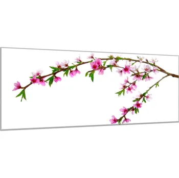 Obraz Glasdekor Obraz skleněný rozkvetlá větev třešně - 30 x 60 cm Rozměry-obdélník V/Š: 30 x 60 cm