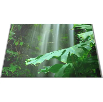 Kuchyňské prkénko Glasdekor Skleněné prkénko list deštný prales Prkénko: 30x20cm