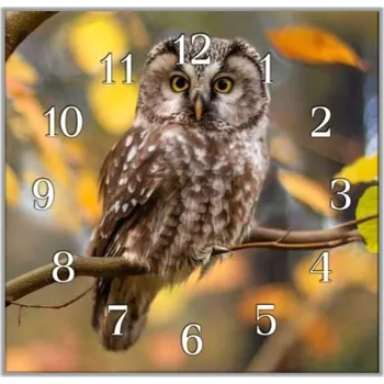 Hodiny Glasdekor Nástěnné hodiny 30x30cm dravý pták sýček Materiál: plexi