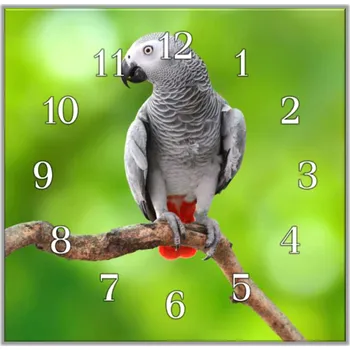 Hodiny Glasdekor Nástěnné hodiny 30x30cm papoušek žako zelené pozadí Materiál: plexi
