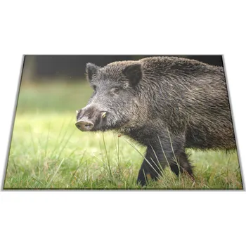 Kuchyňské prkénko Glasdekor Skleněné prkénko myslivecký vzor divoké prase Prkénko: 30x20cm